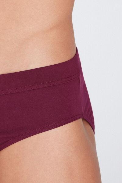 Brown Stretch Cotton Brief, , large image number 3