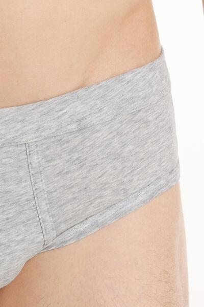Grey Lightweight Briefs, , large image number 3