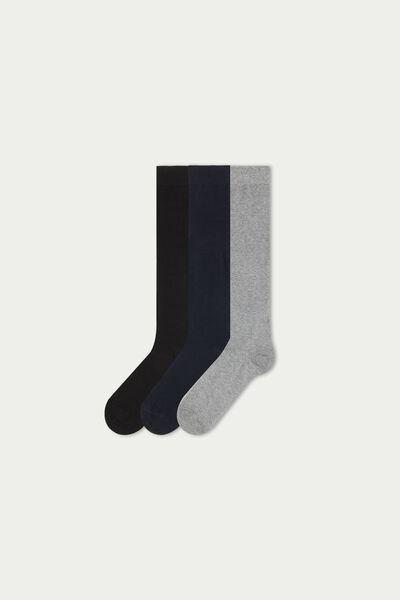 Multicolour Long Socks, Set Of 3, Black/grey Blend/blue, large image number 0