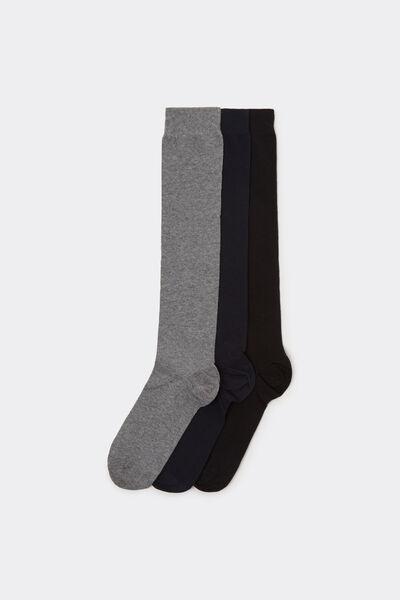 Multicolour Long Socks, Set Of 3, , medium
