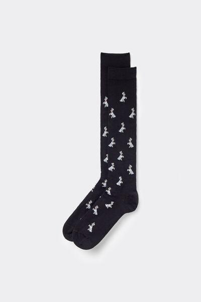 Multicolour Long Socks, 5701_352Y, large image number 0