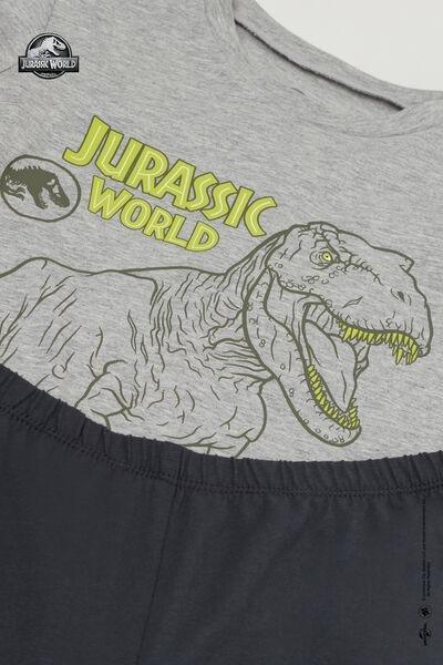 Grey Jurassic World Print Cotton Pyjama Set, Kids Boys, 5701_857Y, large image number 1