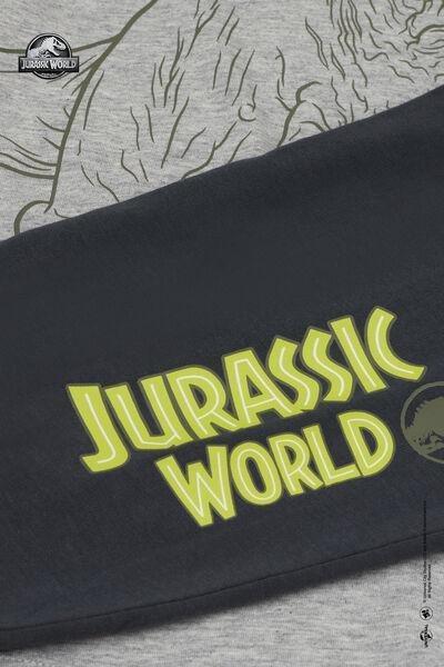 Grey Jurassic World Print Cotton Pyjama Set, Kids Boys, 5701_857Y, large image number 2