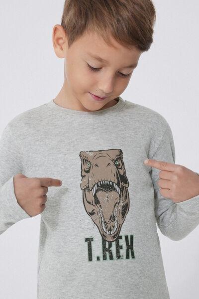 Grey Printed Pyjamas Set, Kids Boys, 5701_180Y, large image number 4