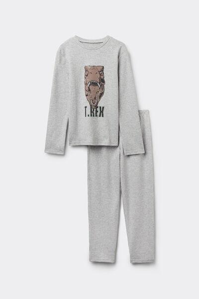 Grey Printed Pyjamas Set, Kids Boys, 5701_180Y, large image number 5