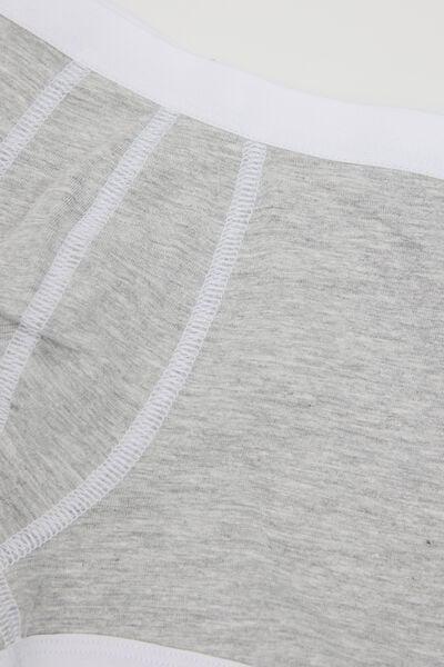 Grey Basic Boxers, Kids Boys, Light Grey Blend, large image number 1