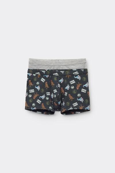 Grey Jurassic World Cotton Boxers, Set Of 2, Kids Boys, 5701_857Y, large image number 0