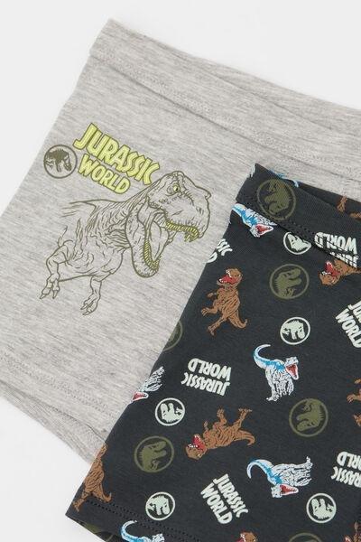 Grey Jurassic World Cotton Boxers, Set Of 2, Kids Boys, 5701_857Y, large image number 1