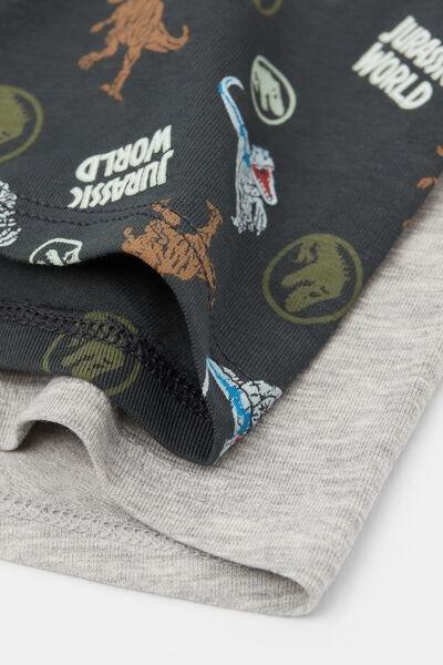 Grey Jurassic World Cotton Boxers, Set Of 2, Kids Boys, 5701_857Y, large image number 2