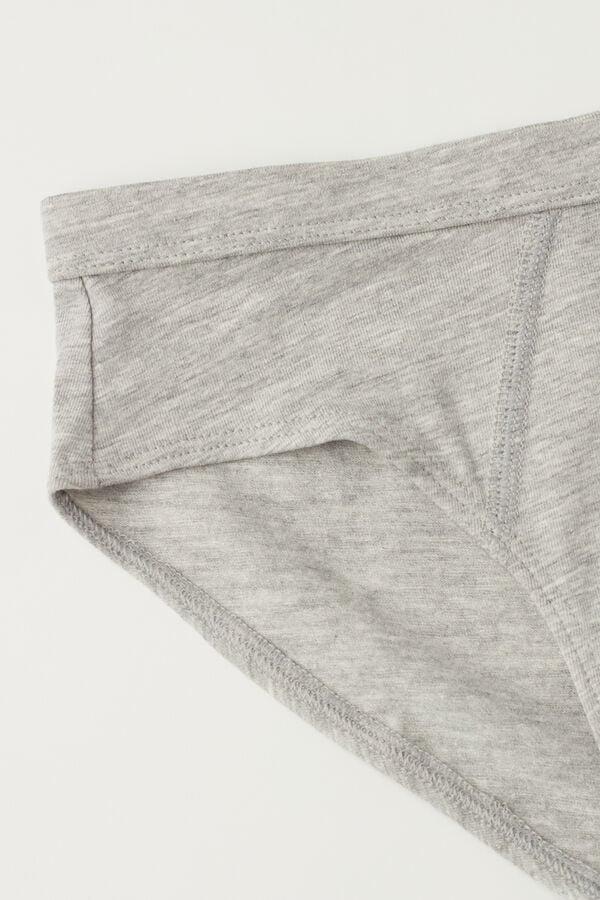 Grey Basic Briefs, Kids Boys, , large image number 1