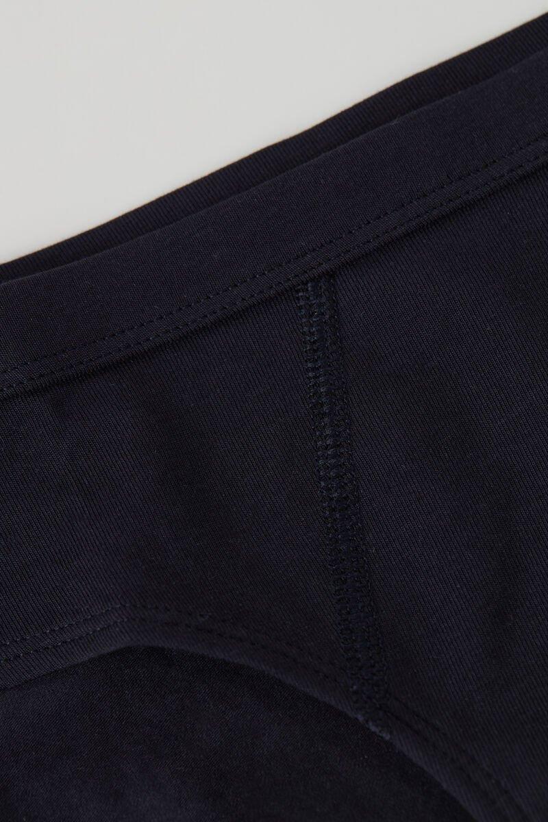 Blue Basic Cotton Briefs, Kids Boys, , large image number 1