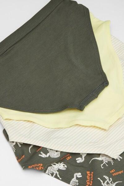 Green Safari Dinosaur Printed Cotton Briefs, Set Of 4, Kids Boys, 5701_622Y, large image number 1