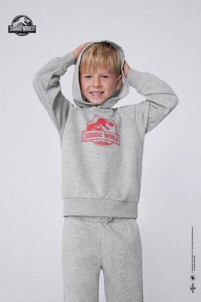 Grey Jurassic World Long-Sleeved Hoodie, Kids Boys, 5701_857Y, medium
