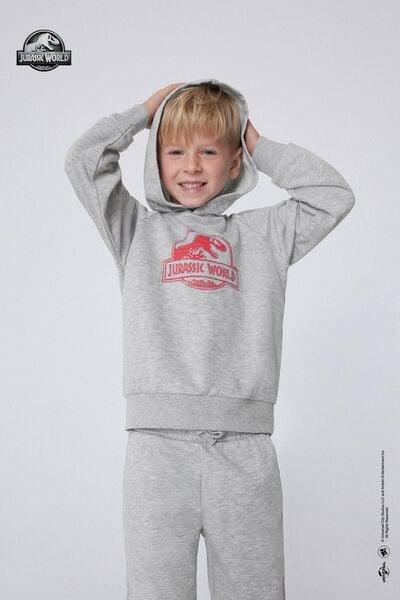 Grey Jurassic World Long-Sleeved Hoodie, Kids Boys, 5701_857Y, large image number 1