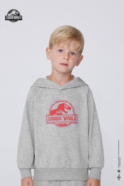 Grey Jurassic World Long-Sleeved Hoodie, Kids Boys, 5701_857Y, medium