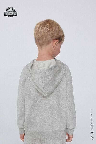 Grey Jurassic World Long-Sleeved Hoodie, Kids Boys, 5701_857Y, medium