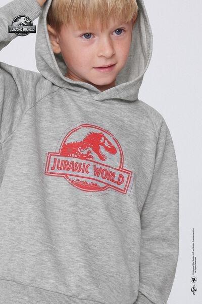 Grey Jurassic World Long-Sleeved Hoodie, Kids Boys, 5701_857Y, large image number 3