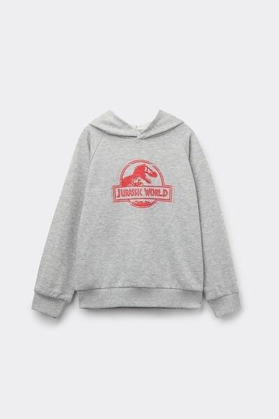 Grey Jurassic World Long-Sleeved Hoodie, Kids Boys, 5701_857Y, large image number 4