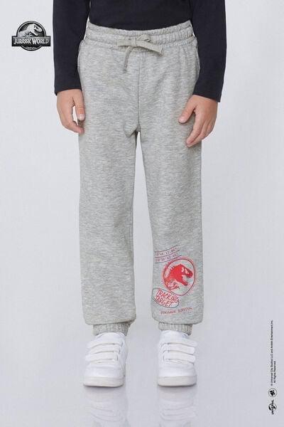 Grey Jurassic World Printed Joggers, Kids Boys, , medium
