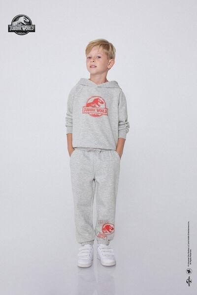 Grey Jurassic World Printed Joggers, Kids Boys, 5701_857Y, medium