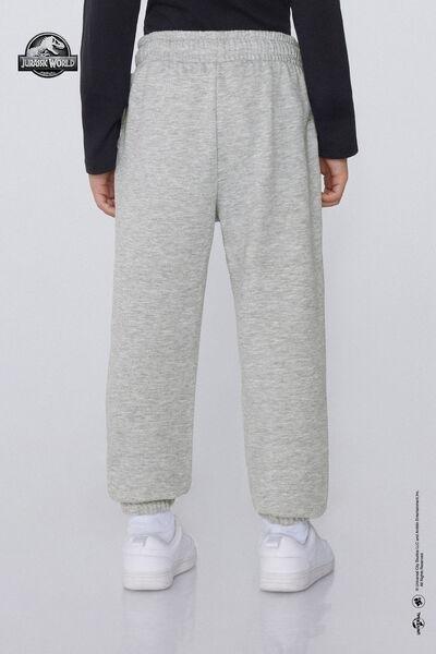 Grey Jurassic World Printed Joggers, Kids Boys, 5701_857Y, medium