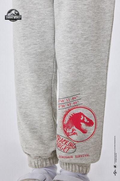Grey Jurassic World Printed Joggers, Kids Boys, , large image number 2