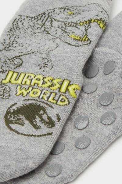 Grey Jurassic World Non-Slip Socks, Kids Boys, 5701_849Y, large image number 1