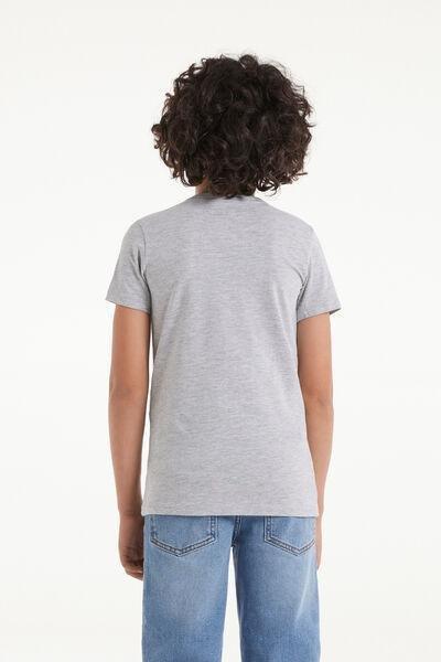 Grey Stretch Cotton T-Shirt, Kids Boys, Light Grey Blend, large image number 2