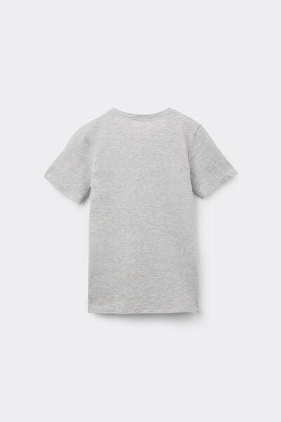 Grey Round Neck T-Shirt, Kids Boys, Light Grey Blend, large image number 6