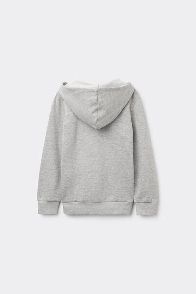 Grey Zip-Up Hoodie, Kids Unisex, Light Grey Blend, large image number 3