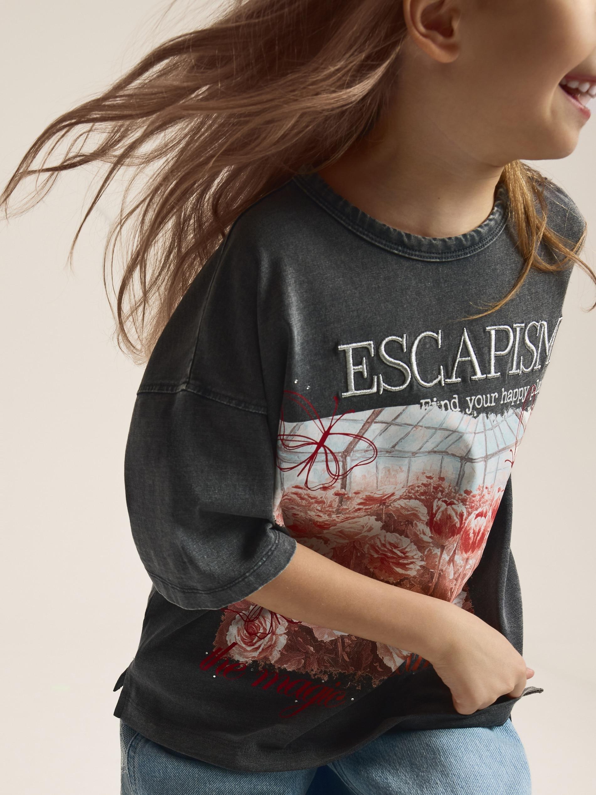 Grey T-Shirt With Print, Grey, large image number 1