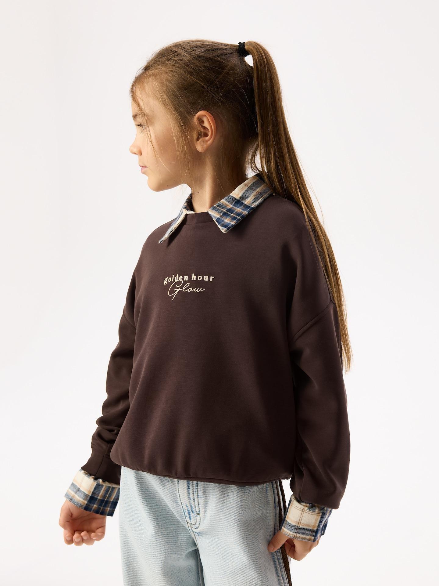 Brown Modal Blend Sweatshirt, Brown, large image number 5
