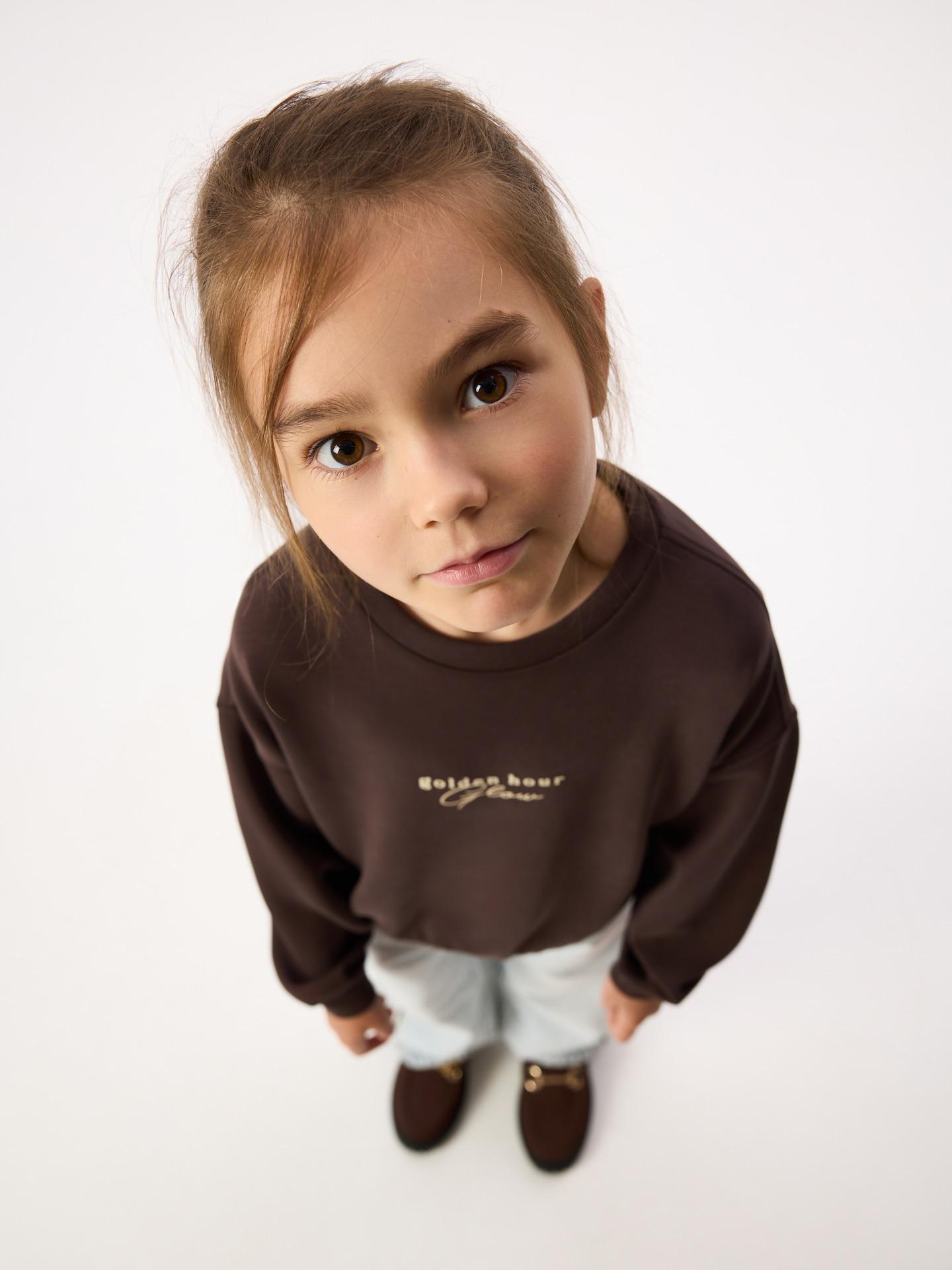 Brown Modal Blend Sweatshirt, Brown, large image number 6