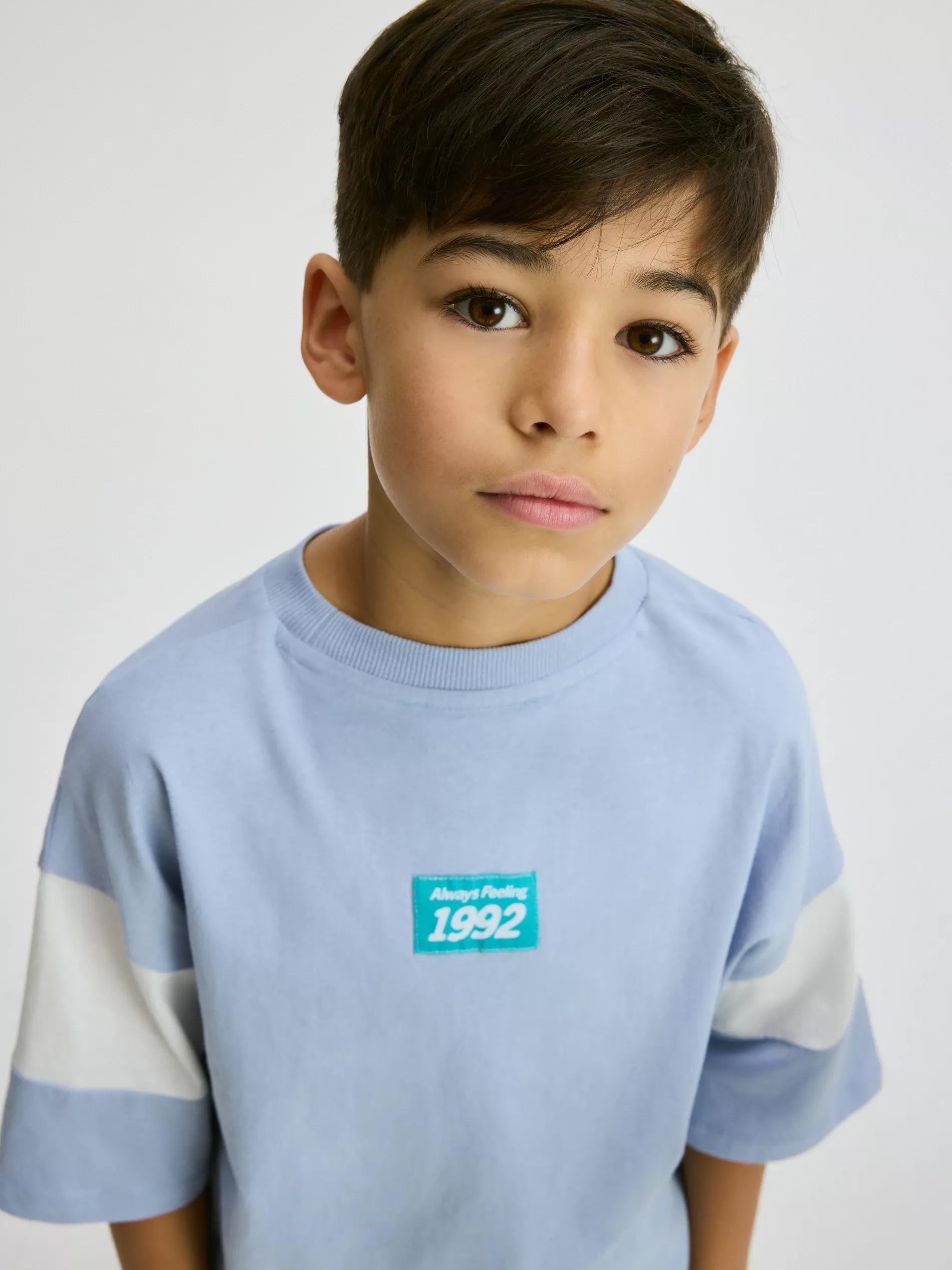 Blue Cotton T-Shirt With Print, Blue, large image number 5