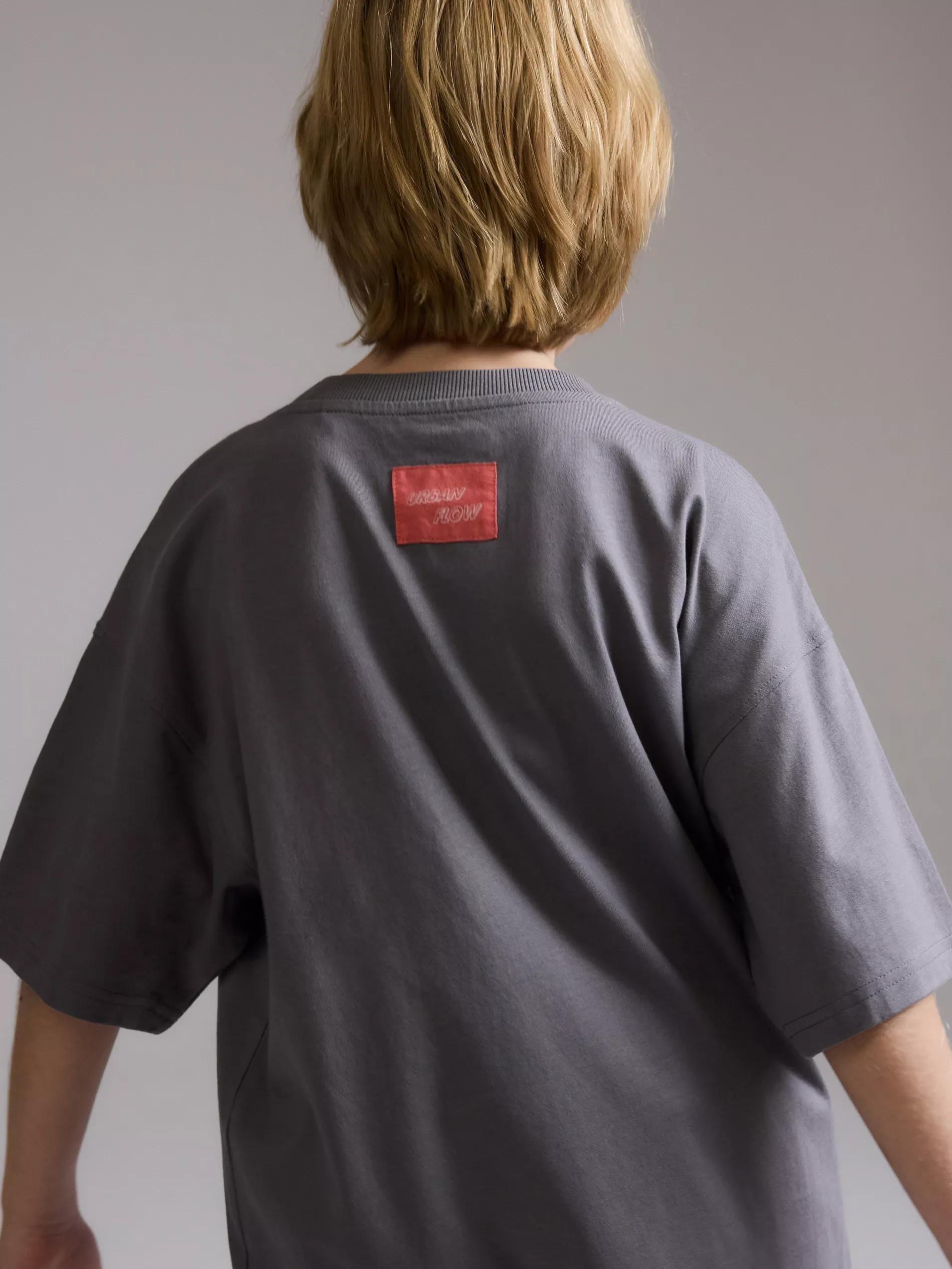 Grey T-Shirt, Kids Boy, , large image number 3
