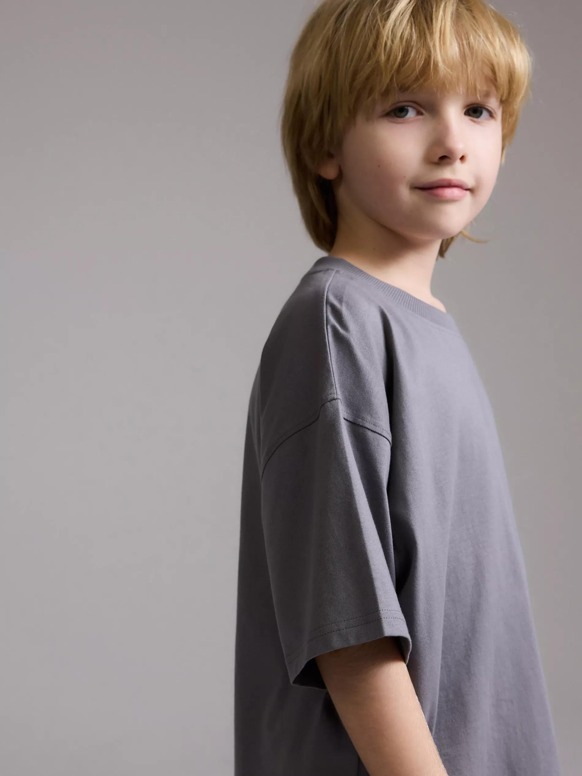 Grey T-Shirt, Kids Boy, , large image number 4