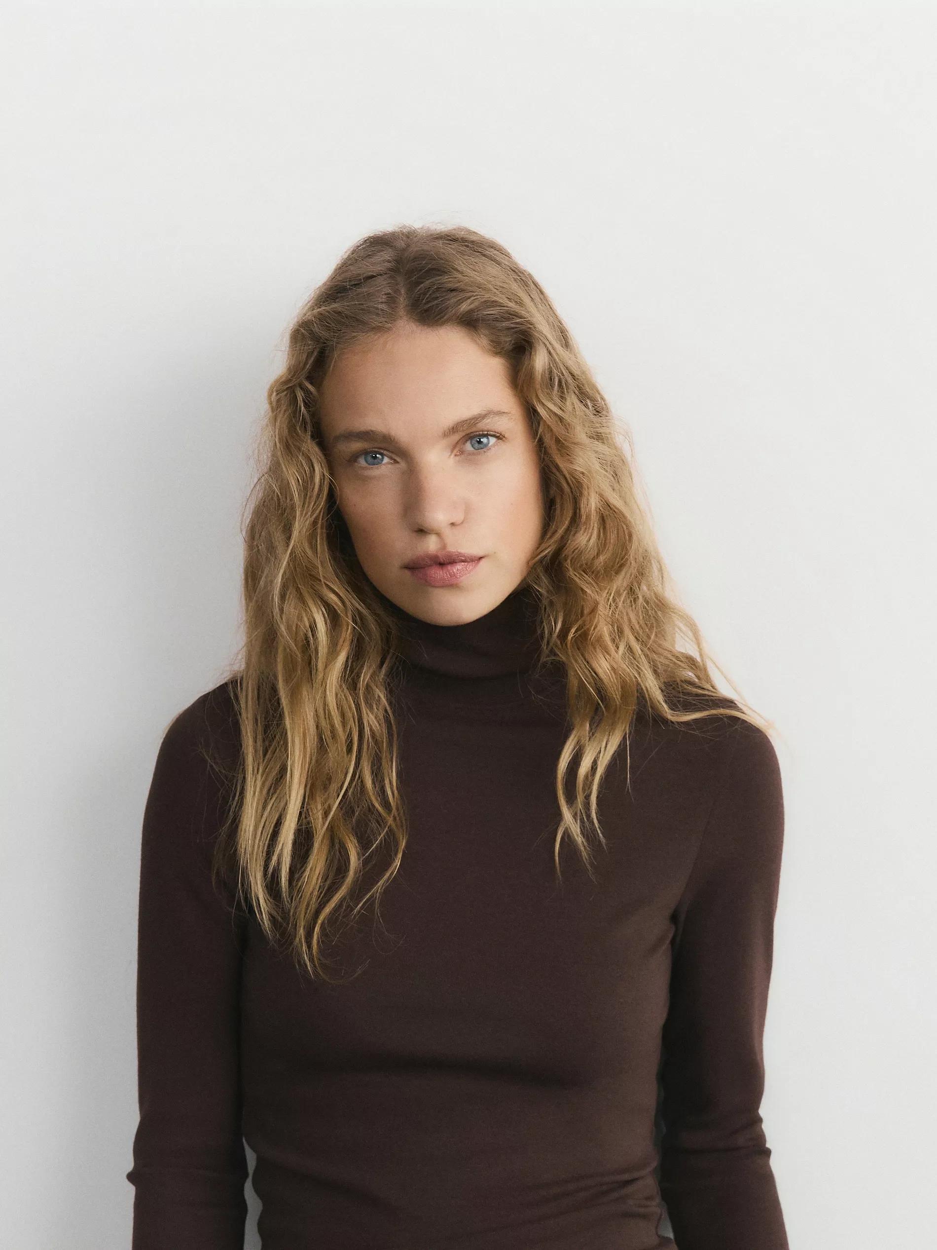 Brown Long-Sleeved Turtleneck, Brown, large image number 4