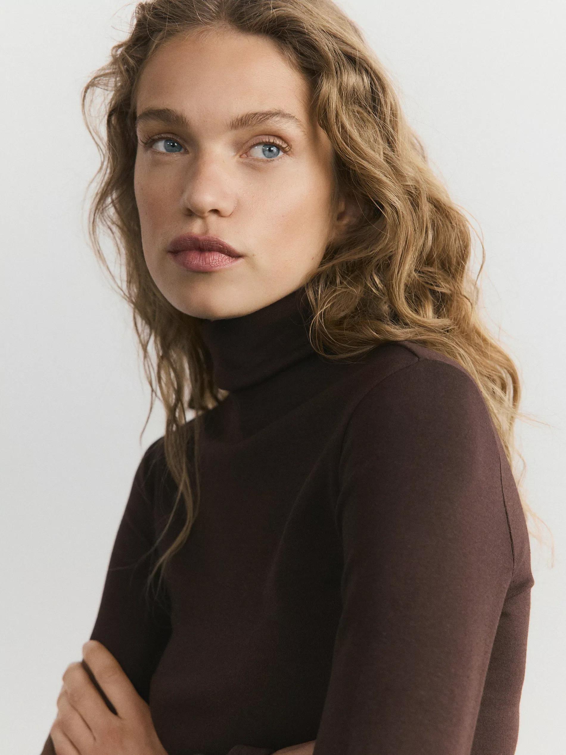 Brown Long-Sleeved Turtleneck, Brown, large image number 5