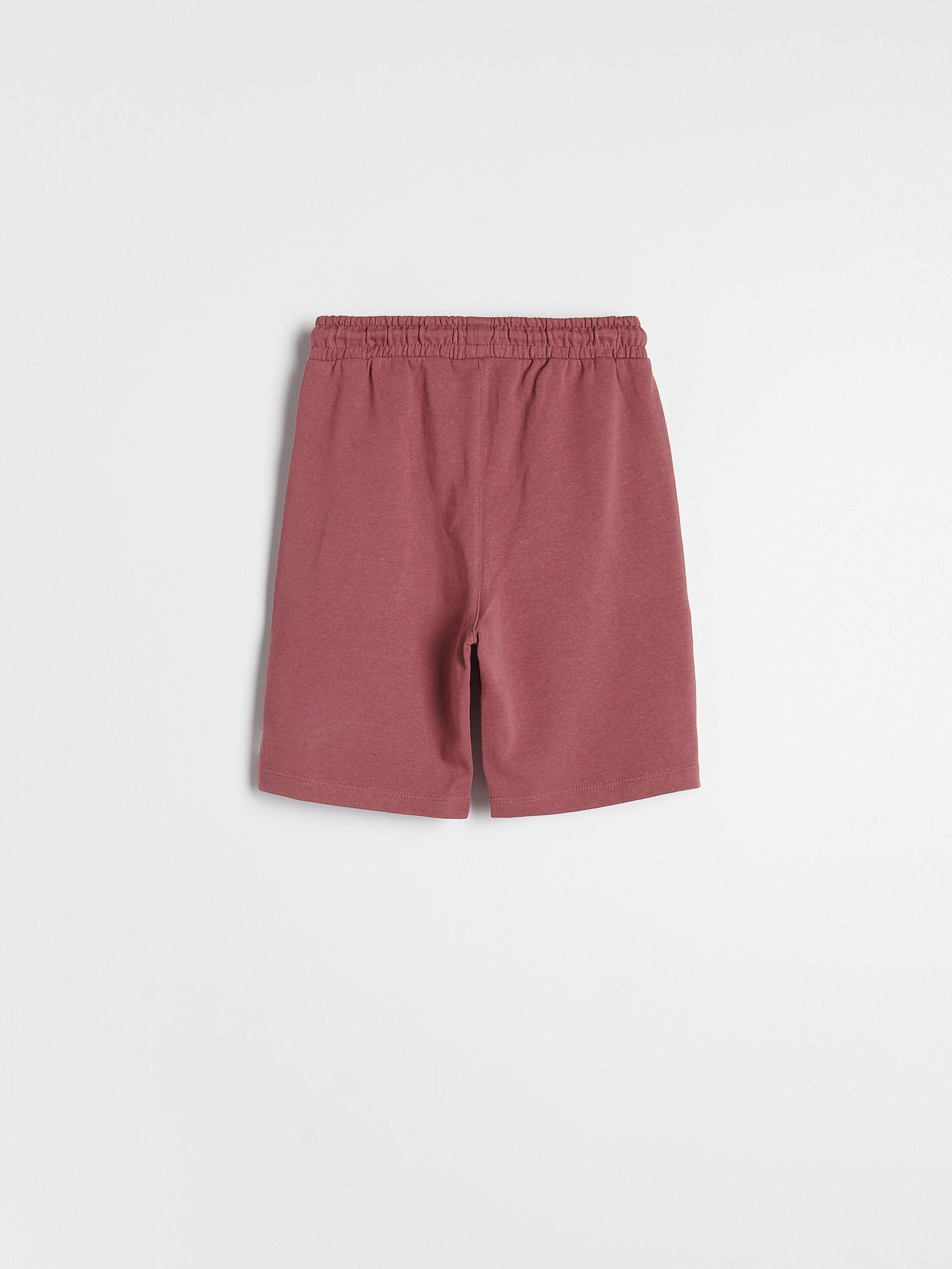 Mauve Cotton Shorts With Pockets, , large image number 3