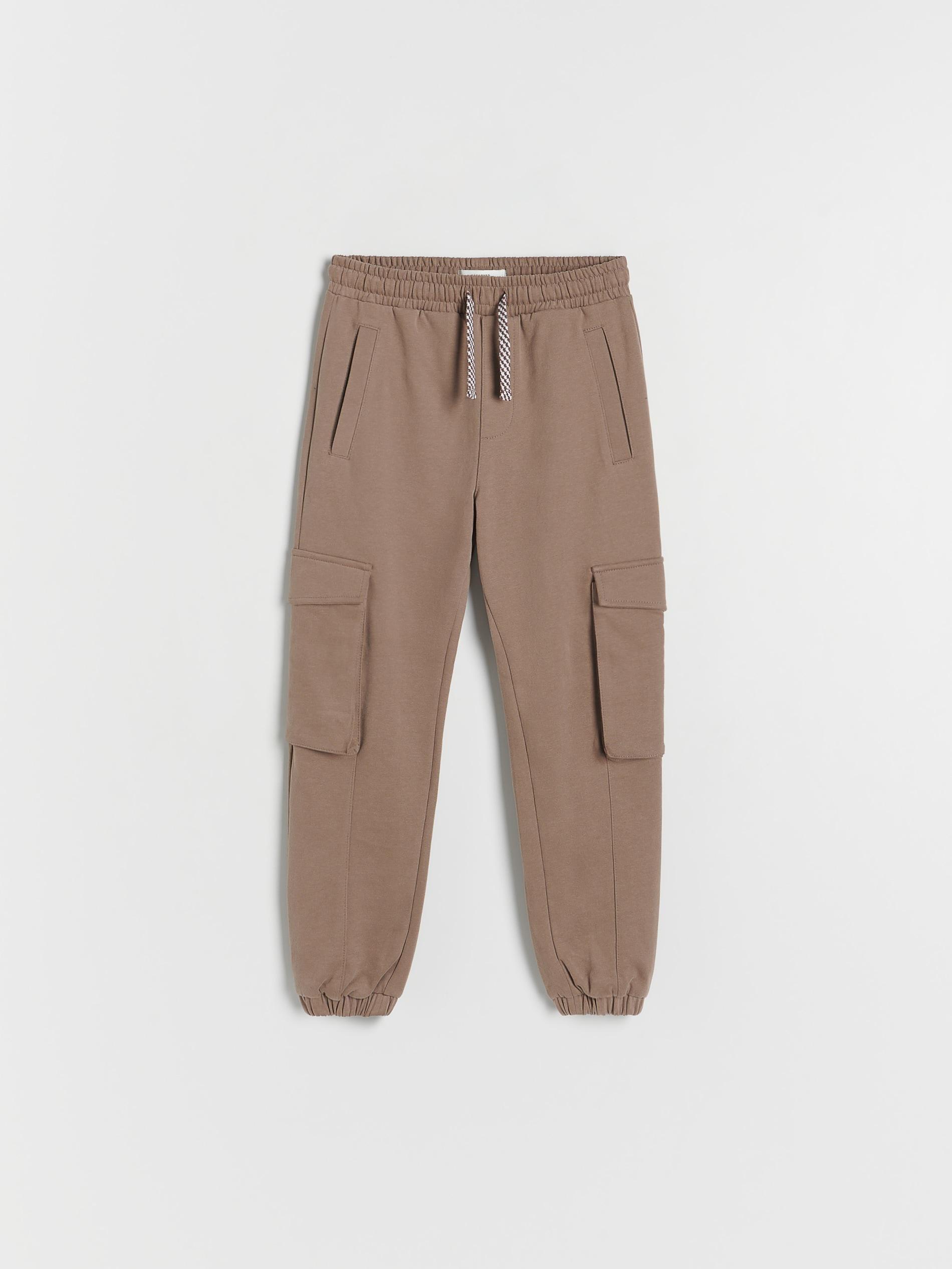 Brown Jersey Cargo Trousers, Kids Boys, , large image number 0