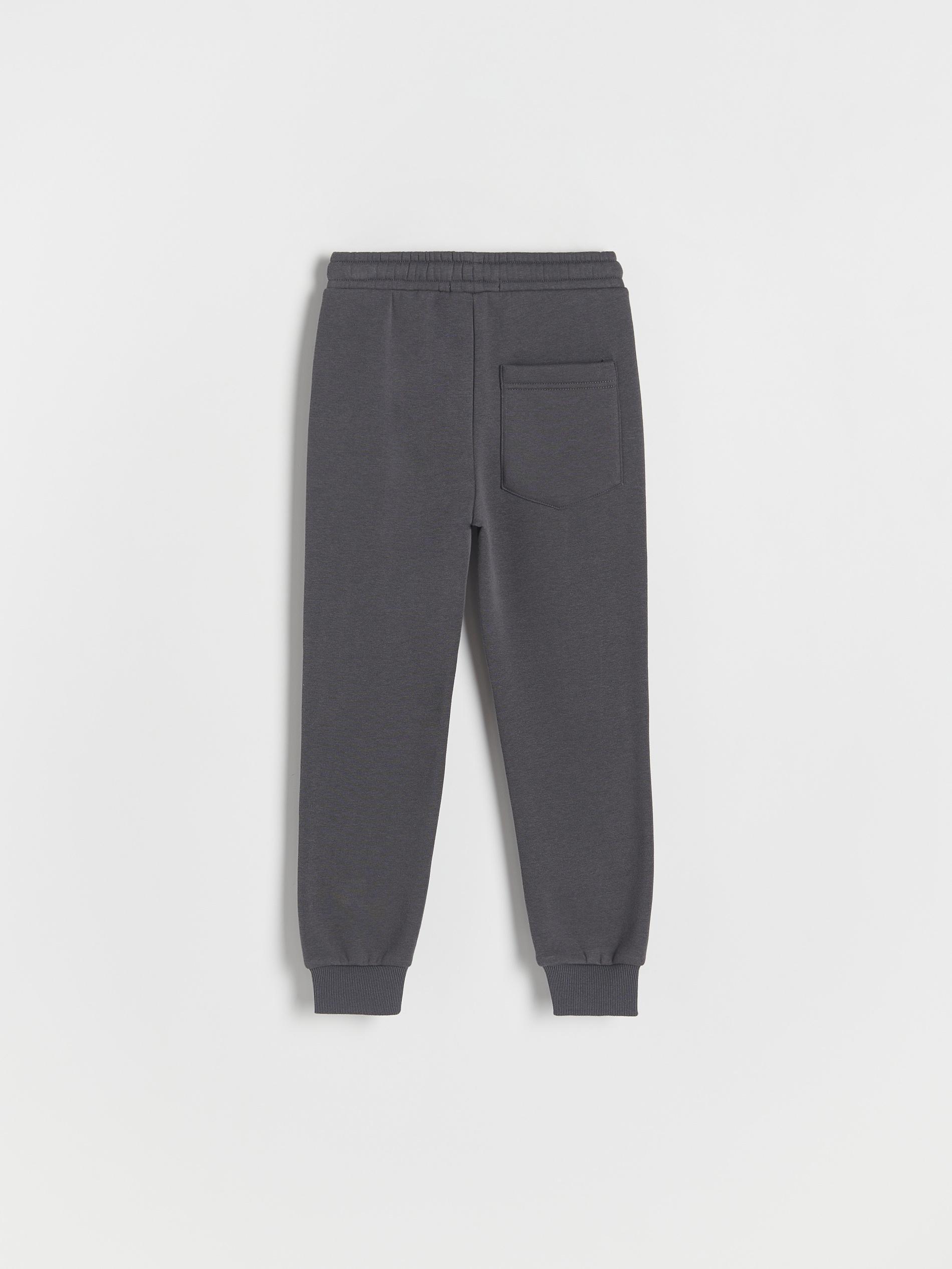 Grey Jogger Sweatpants, Kids Boys, , large image number 4