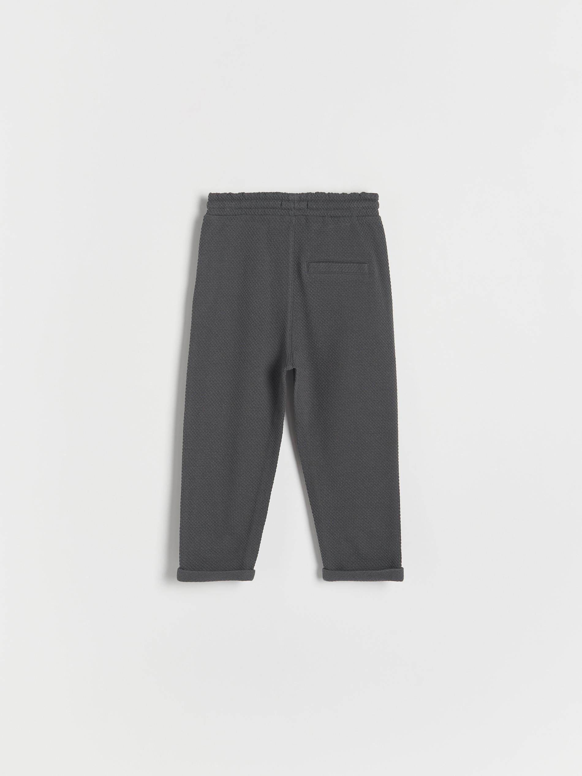 Grey Chino Trousers, Kids Boys, , large image number 4