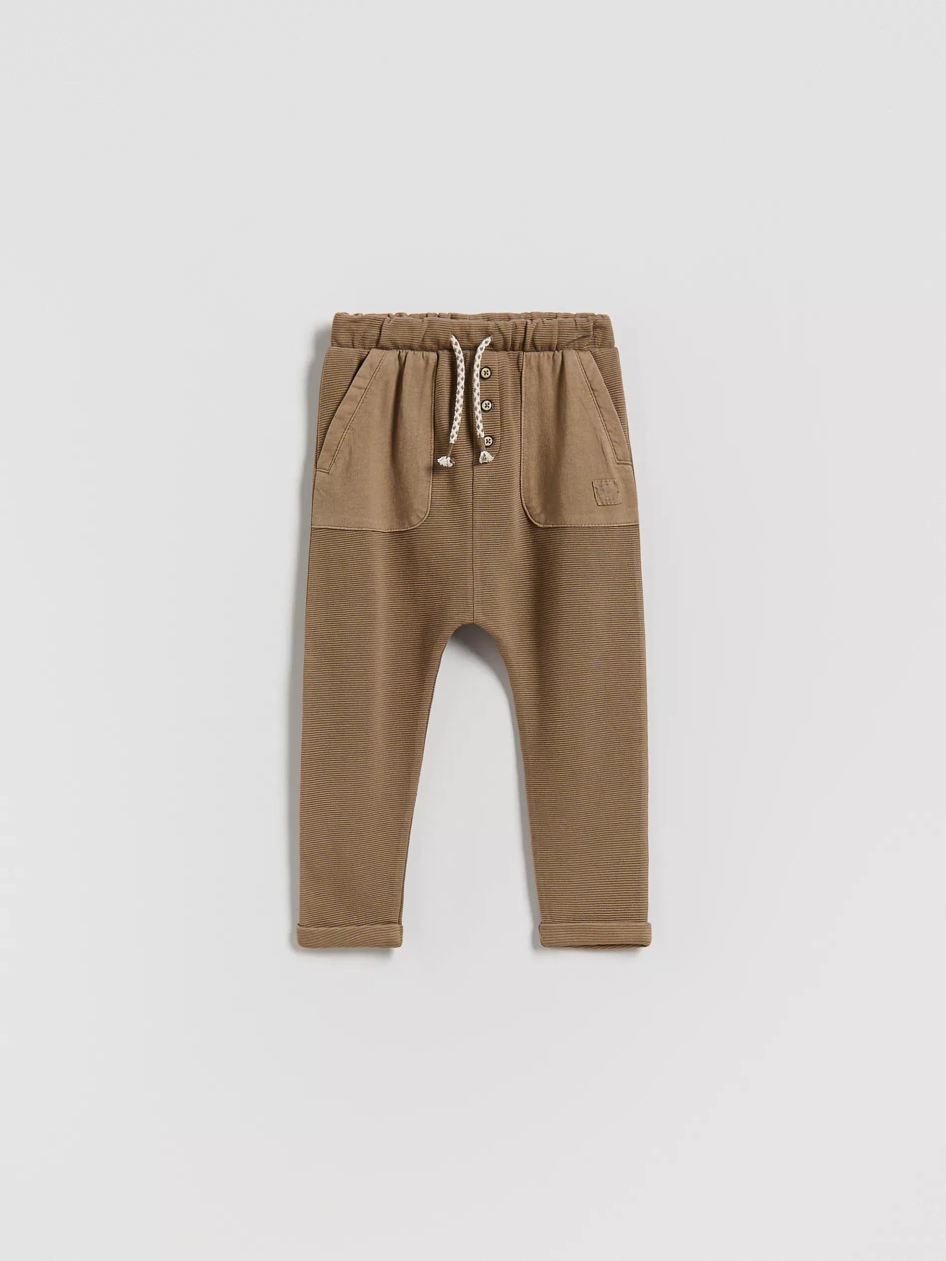 Brown Regular Trousers, Brown, medium