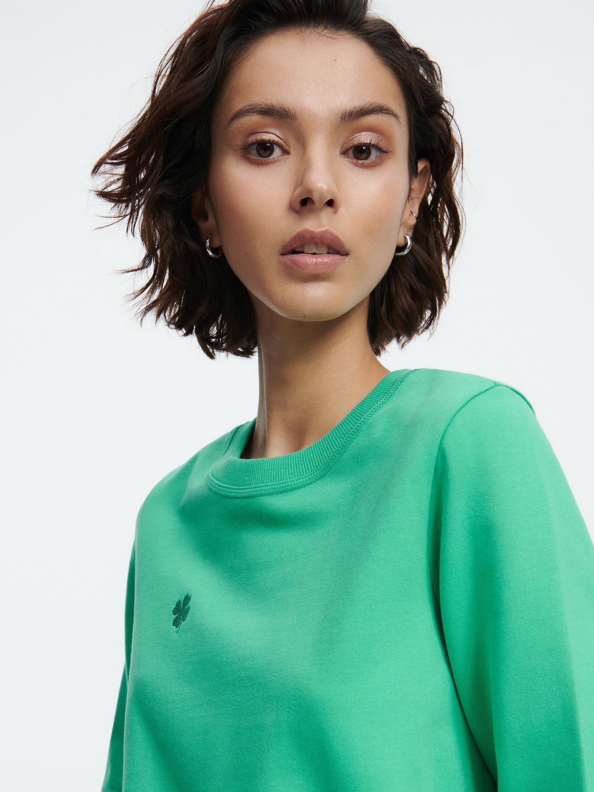 Green Cotton Sweatshirt With Embroidery Detail, , large image number 1