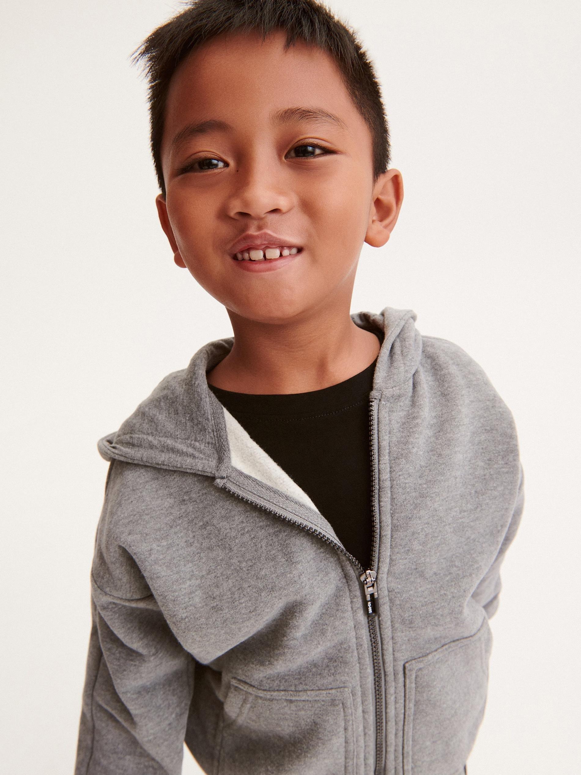 Grey Zip Up Hoodie, Kids Boys, , large image number 1
