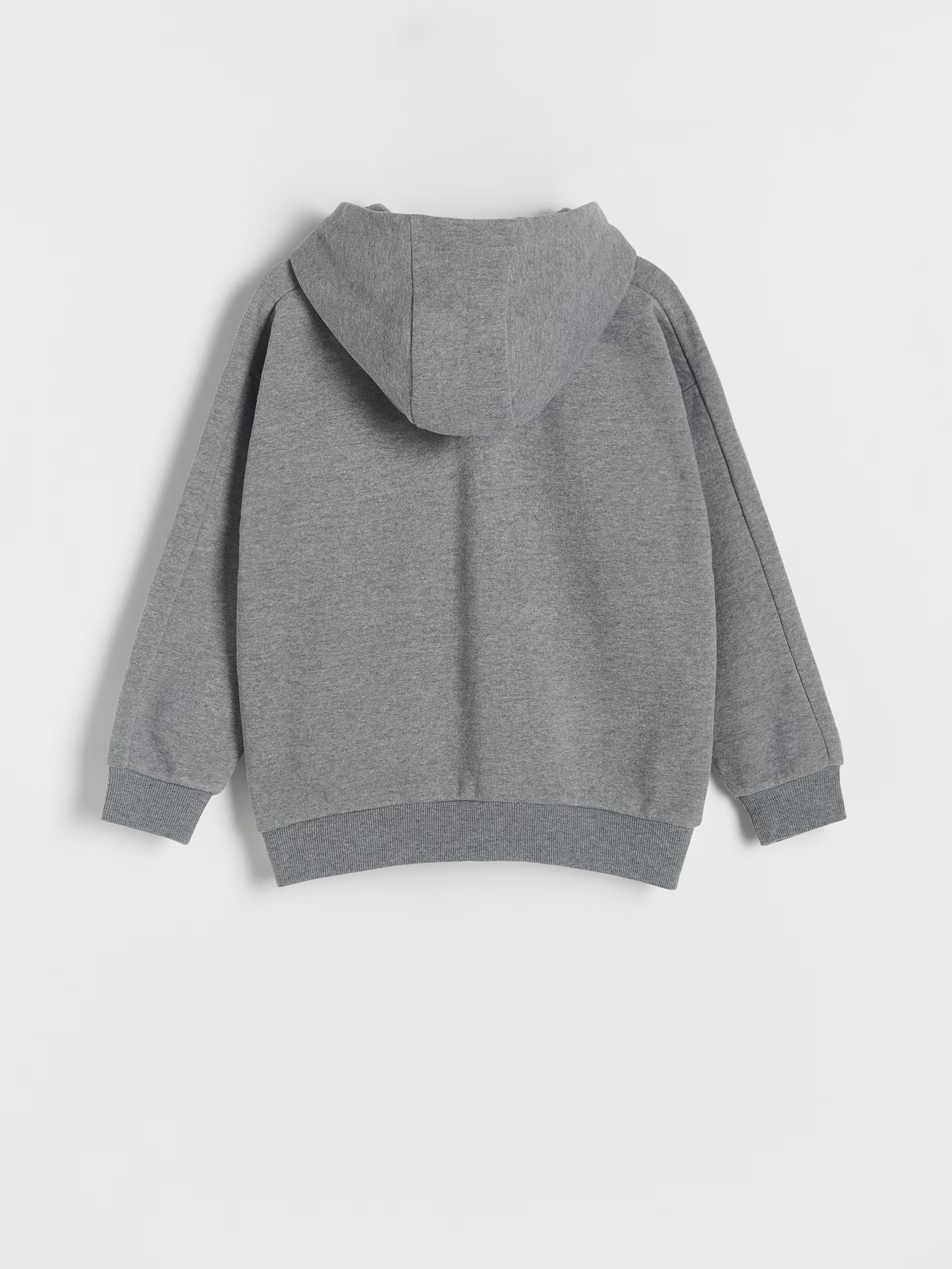 Grey Zip Up Hoodie, Kids Boys, , large image number 4