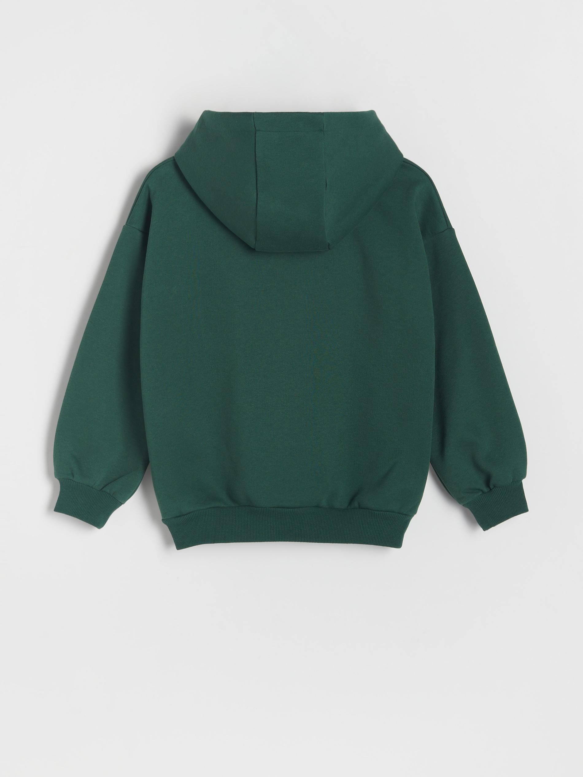 Green Christmas Hoodie, Kids Boys, , large image number 5
