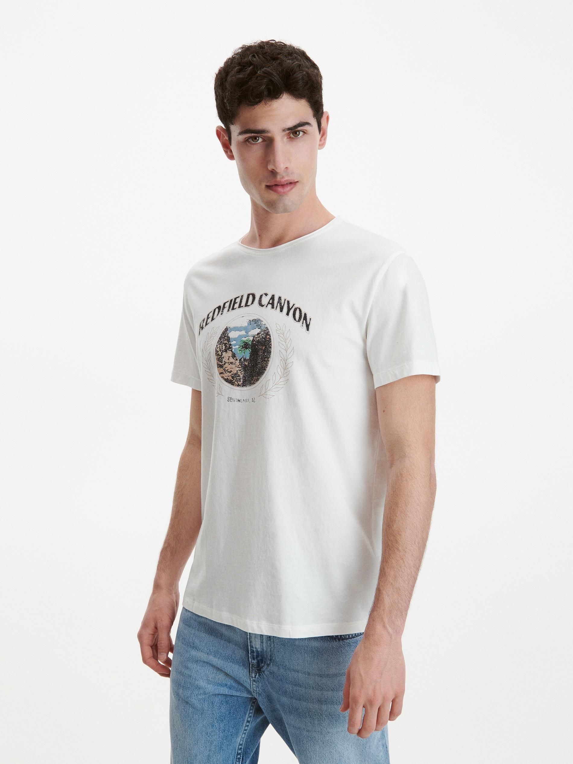 Ivory Printed T-Shirt, , large image number 5