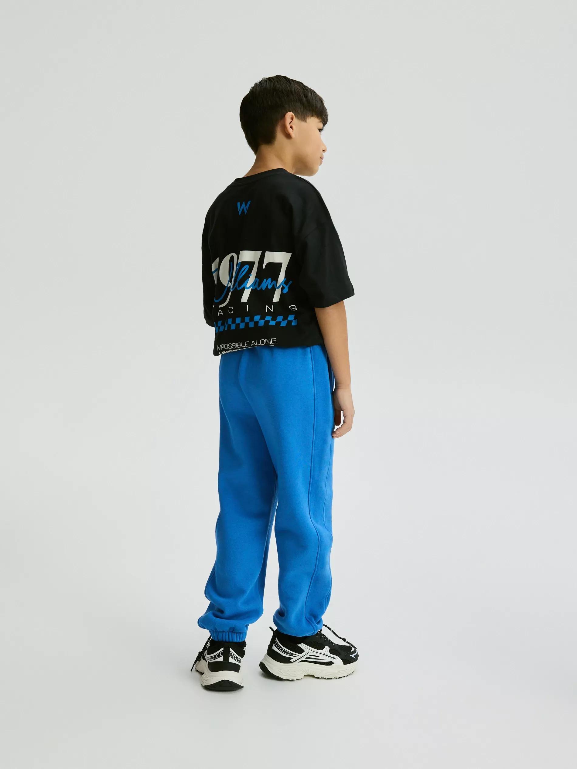 Blue Cotton Joggers, Blue, large image number 5