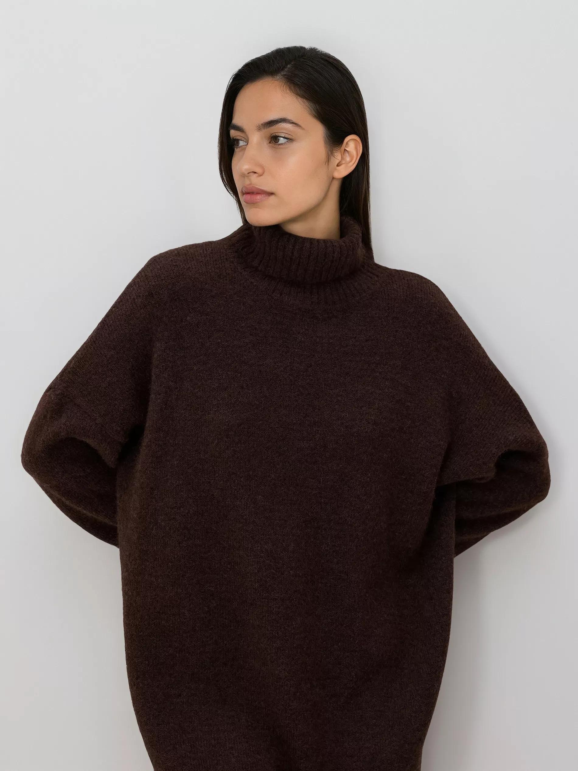 Brown Long Sweater With Turtleneck, Brown, large image number 2